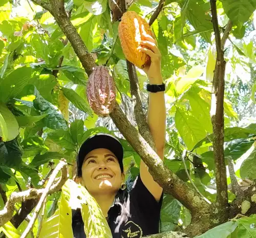 Cocoa_-an-ancient-product-that-delights-the-palate